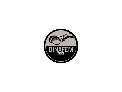 Dinafem Collector 12 Mix MDA H2A OAA, feminizovaná kopie