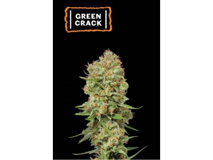 green crack fem
