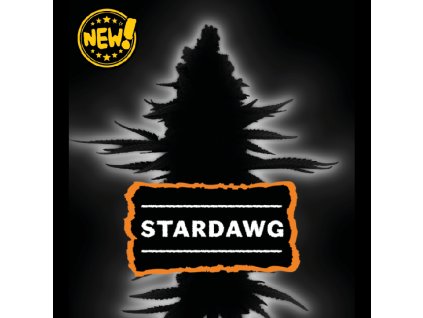 stardawg feminizovana semena konopi