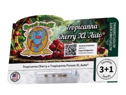 tropicana cherry