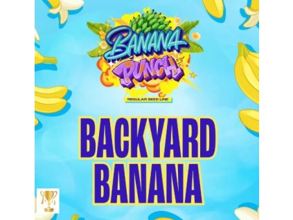 backyard banana
