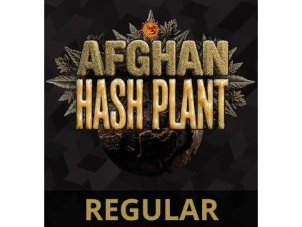 afghan