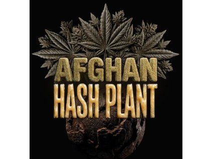 hash plant