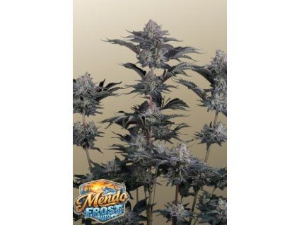mendo frost