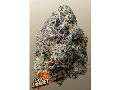 gary sherbet