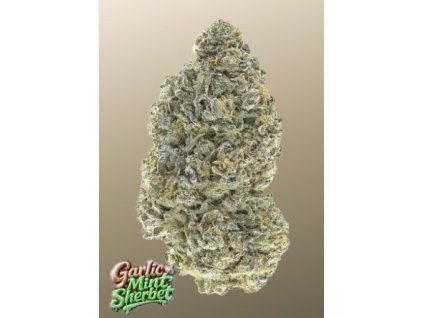 garlic mint