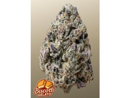 biscot gelato