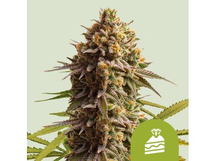 Auto Wedding Cake