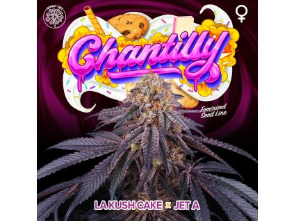 CHANTILLY LOGO PLANTE FULL cross