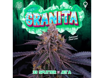 GRANITA LOGO PLANTE FULL cross