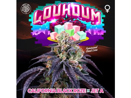 LOUKOUM LOGO PLANTE FULL cross