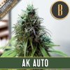 Blimburn Seeds AK Auto, feminized autoflowering, 3ks