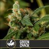 Blimburn Seeds Green Crack, feminizovaná