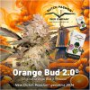 Orange bud 2 Dutch Passion 2024 1080