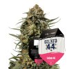 Gelatto44 withpack