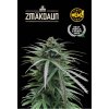 zmakdaun fem
