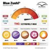 Blue Zushi cannabinoids and terpenes profile