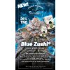 Blue Zushi feminised cannabis seeds 1080x1920