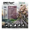 Dutch Passion GMO Fast, feminized, 10ks