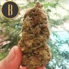 Blimburn Seeds Mamba Negra, feminizovaná