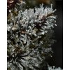 barneys farm lemon cherry gelato a