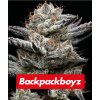barneys farm black cherry gushers