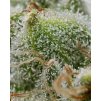 barneys farm bruce banner a