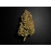Fast Buds Lemon AK Auto feminizovaná autoflowering