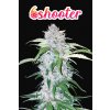 Fast Buds Six Shooter Auto feminizovaná autoflowering