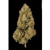 Paradise Seeds Atomical Haze feminizovaná 2