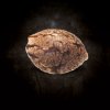 Paradise Seeds Pandora feminizovaná autoflowering 3