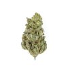 Royal Queen Seeds Amnesia Haze feminizovaná 4
