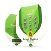 Royal Queen Seeds Royal Cheese Automatic feminizovaná autoflowering2