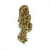 Royal Queen Seeds Euphoria feminizovaná 1