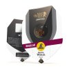 Royal Queen Seeds Exotic Witch regulérní
