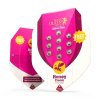 Royal Queen Seeds Honey Cream Fast feminizovaná 2