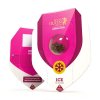 Royal Queen Seeds Ice feminizovaná 4