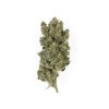 Royal Queen Seeds Royal Gorilla feminizovaná 2