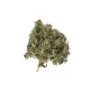 Royal Queen Seeds Royal Highness feminizovaná 3
