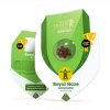 Royal Queen Seeds Royal Haze Automatic feminizovaná autoflowering 4