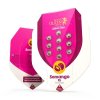 Royal Queen Seeds Somango XL feminizovaná 1