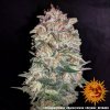 Barney´s Farm Pineapple Chunk feminizovaná