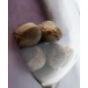 black domina xl 3 Sensi Seeds Black Domina feminizovaná