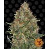 Barney´s Farm Pineapple Express Auto feminizovaná autoflowering