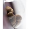 Sensi Seeds Jack Herer feminizovaná 2