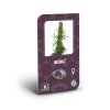 Sensi Seeds Michka feminizovaná 4