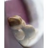 Sensi Seeds Mexican Sativa feminizovaná 2