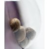 Sensi Seeds Northern Lights feminizovaná 2