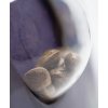 Sensi Seeds Skunk 1 Autoflowering feminizovaná autoflowering 2