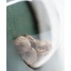 Sensi Seeds Sensi Skunk regulérní 2